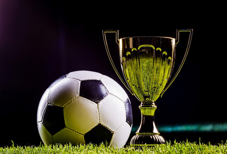 这种积极的 这种积极的