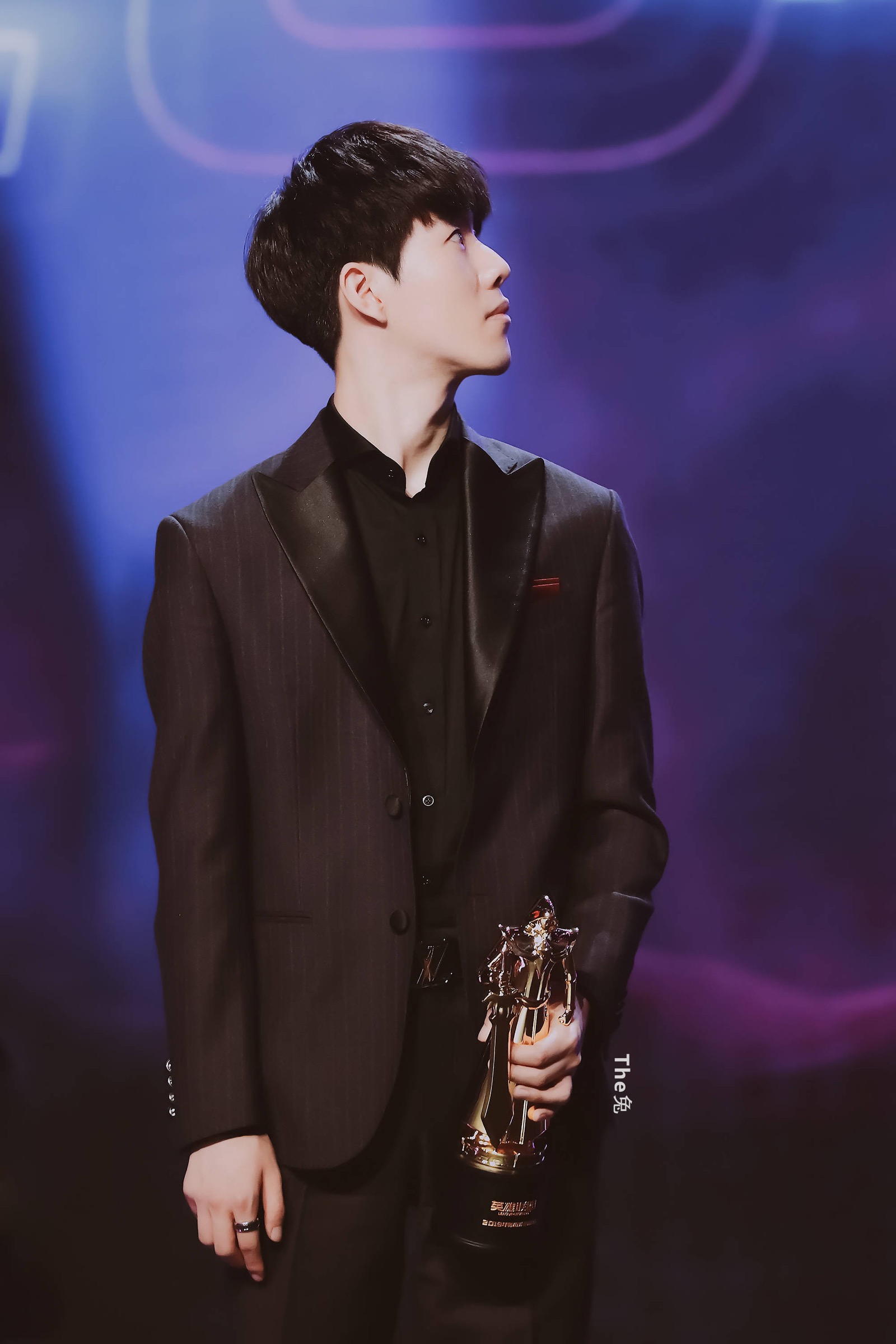 标准杆上果 标准杆上果