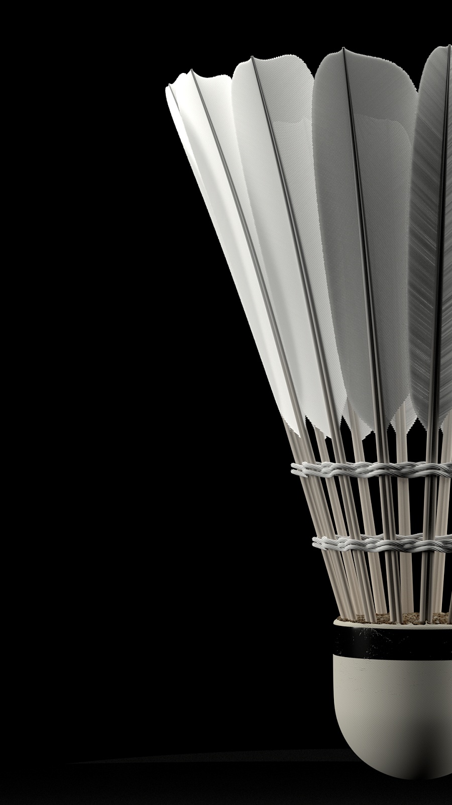 健的节奏和 健的节奏和