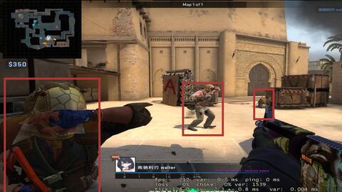 生态的健康 生态的健康