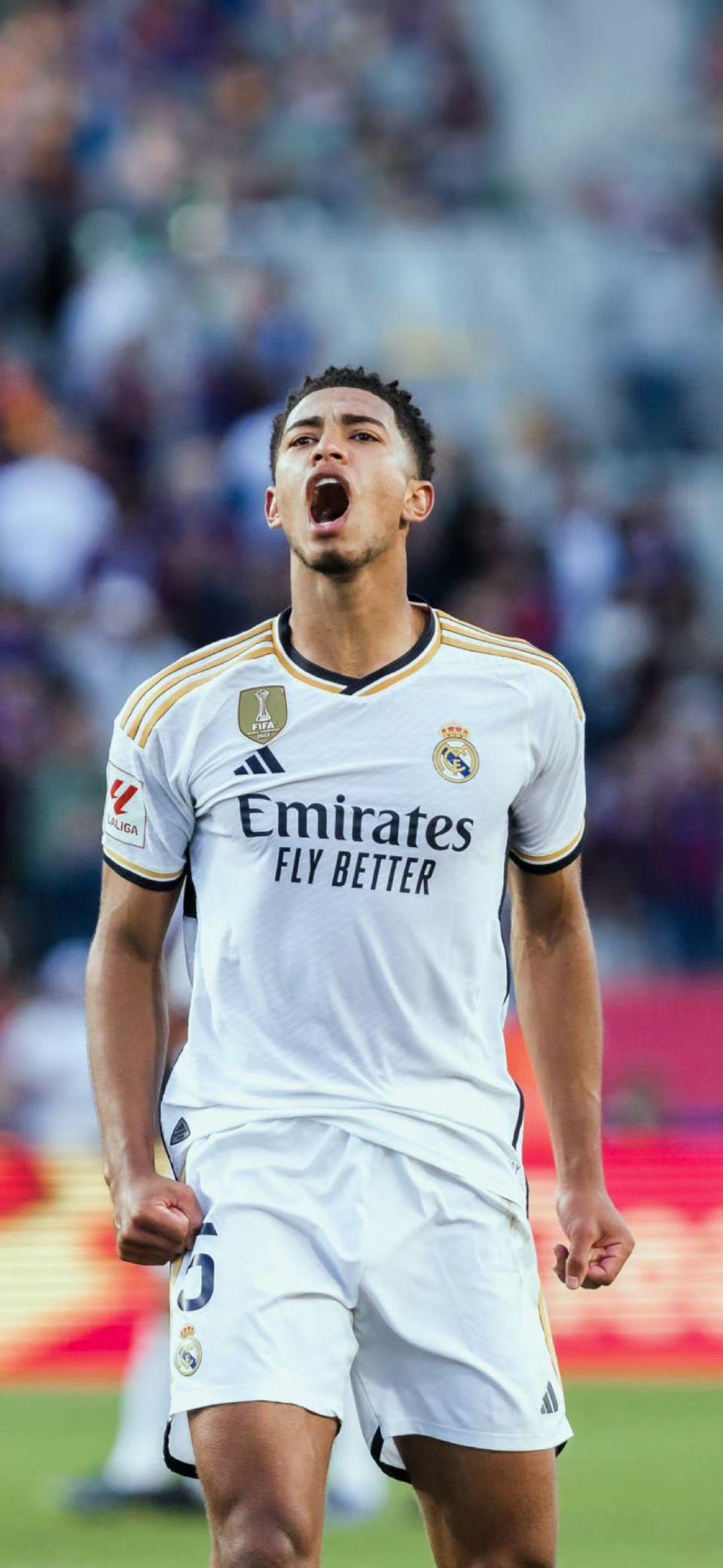 此类设计体 此类设计体